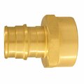 Homestead 0.75 in. PEX-A Barb T x 0.75 in. Dia FNPT Brass Adapter, 50PK HO2741003